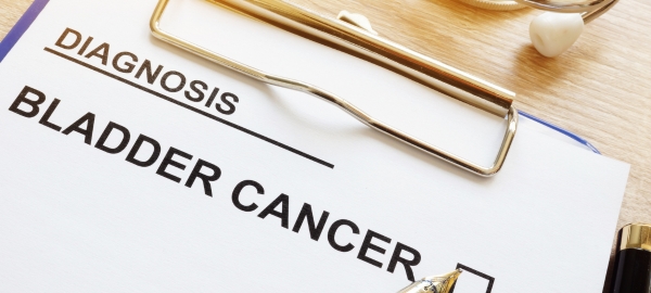 High Risk Non-Muscle Invasive Bladder Cancer